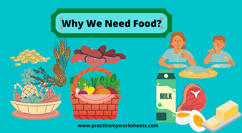 Why We Need Food Free Worksheets Practice My Worksheets